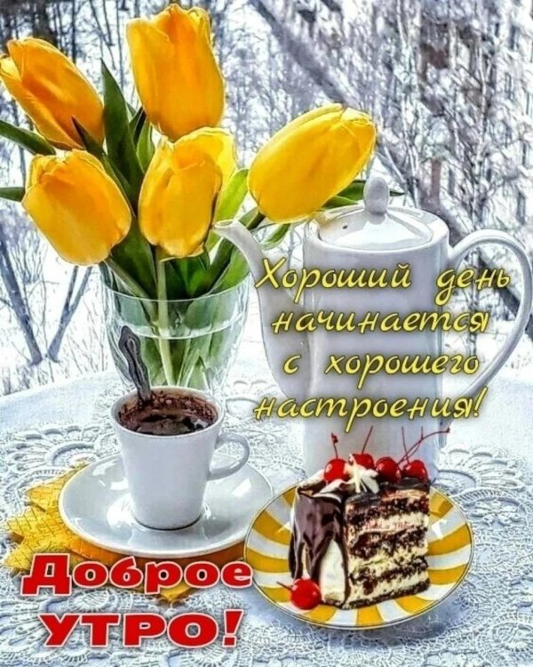 доброе прекрасное февральское утро