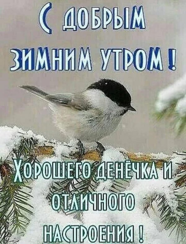 Февральское доброе утречко