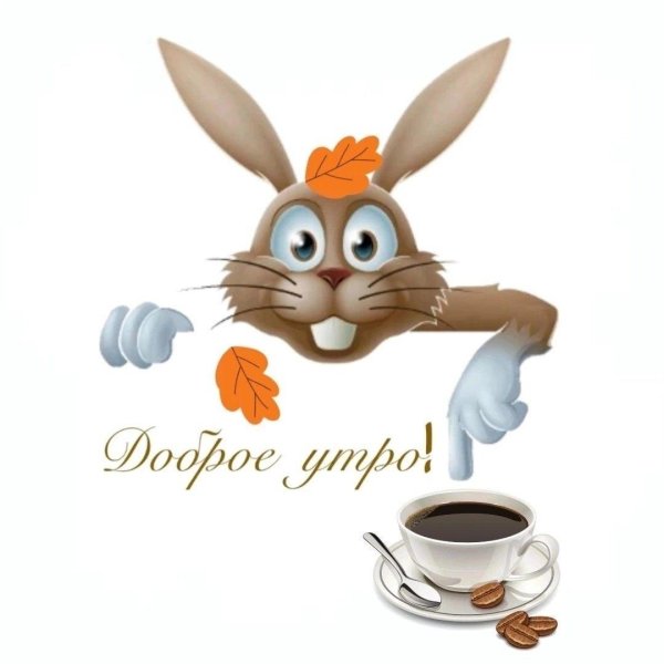 зайчик выглядывает