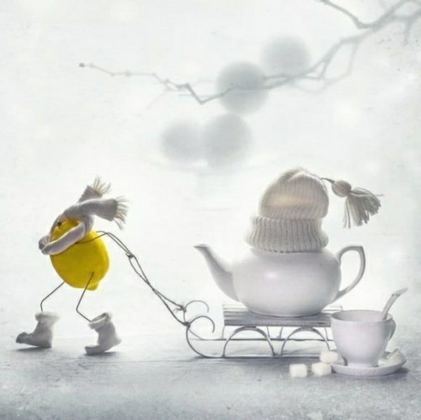 доброе февральское утро прикольные