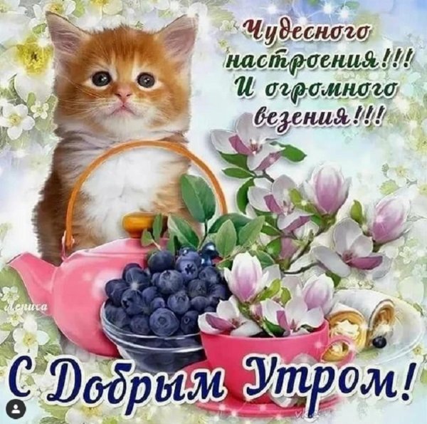 Доброе утро пожелания красивые женщине