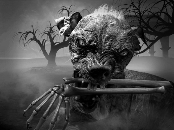 собака оскал