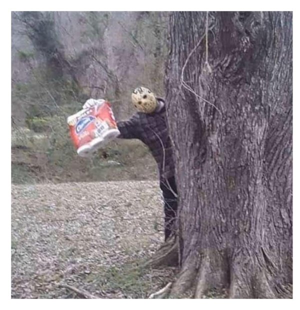 смешной лес