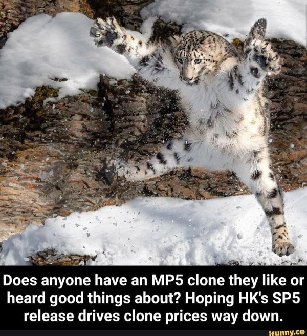 про снежного барса