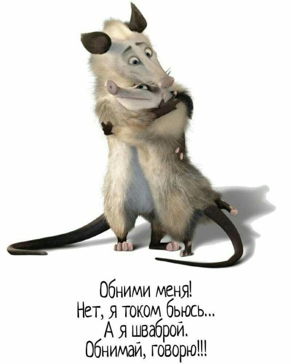 лесная братва опоссум