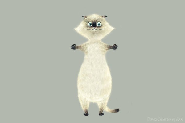 рисованные коты