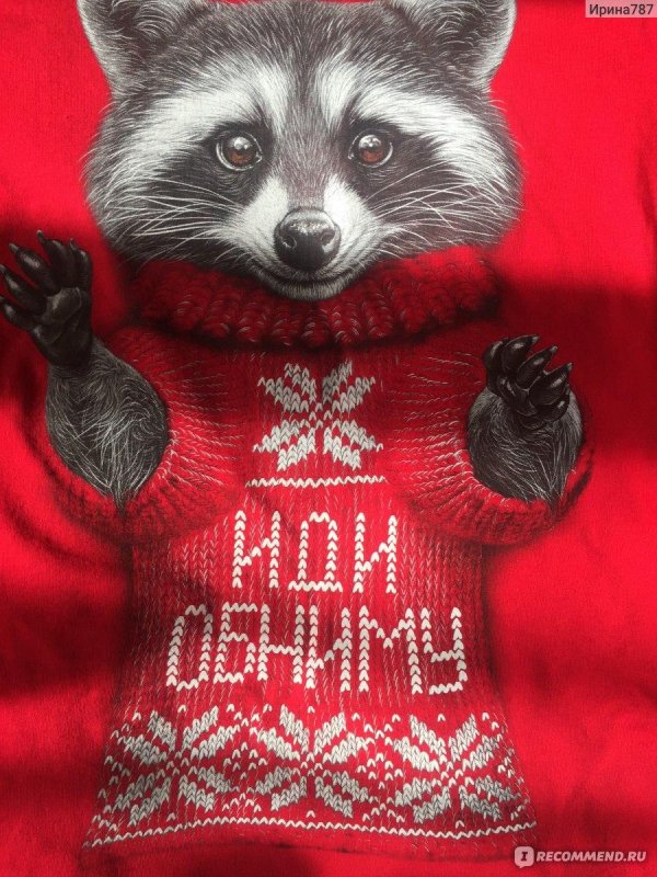 енот обнимает