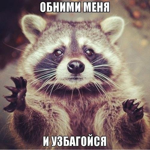 енот полоскун