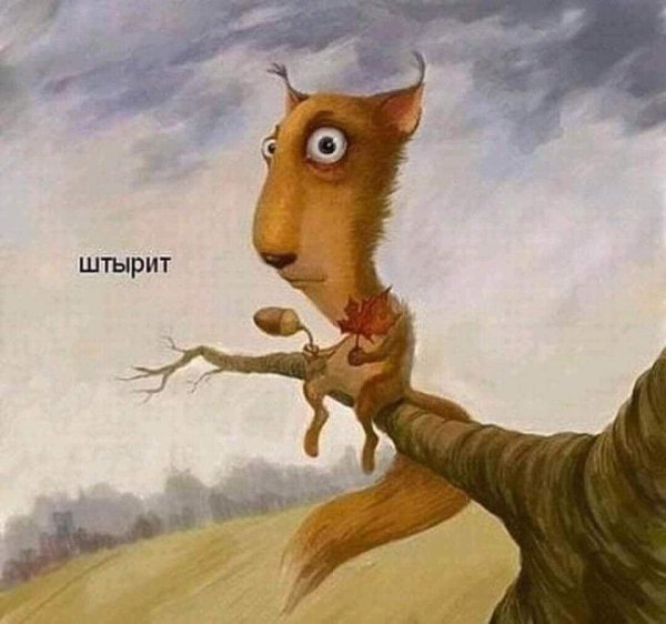 сумасшедшие белки