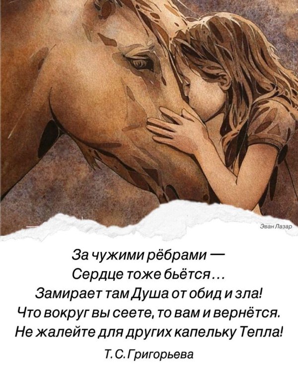 любовь лошадей