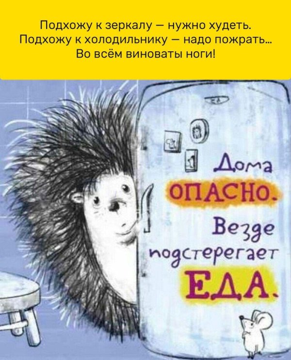 ежик прикольный