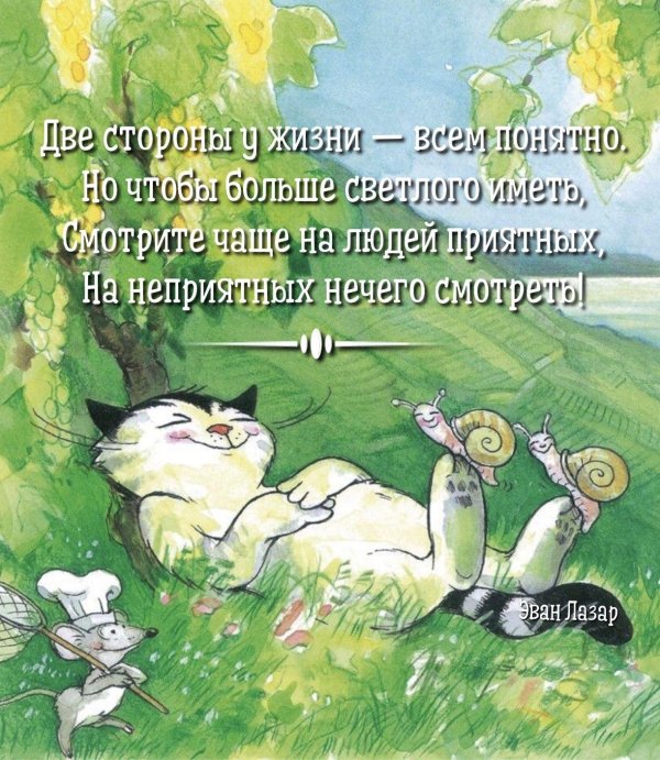 рисованные коты