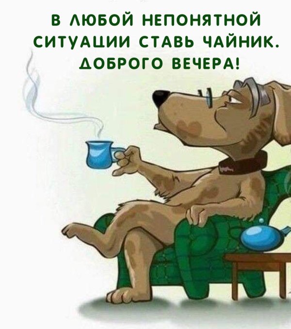 доброе утро шутка