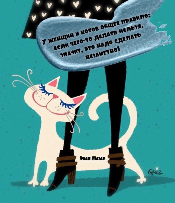 марта кетро коты