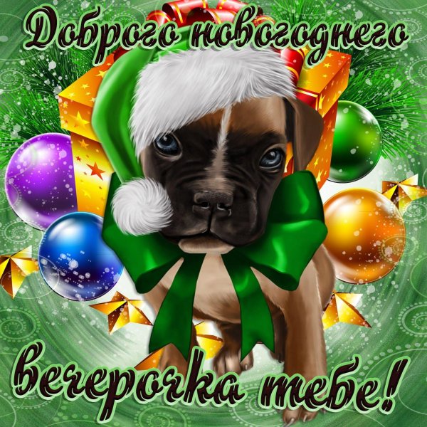 Добрый вечер с животными
