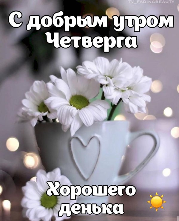 утро четверг