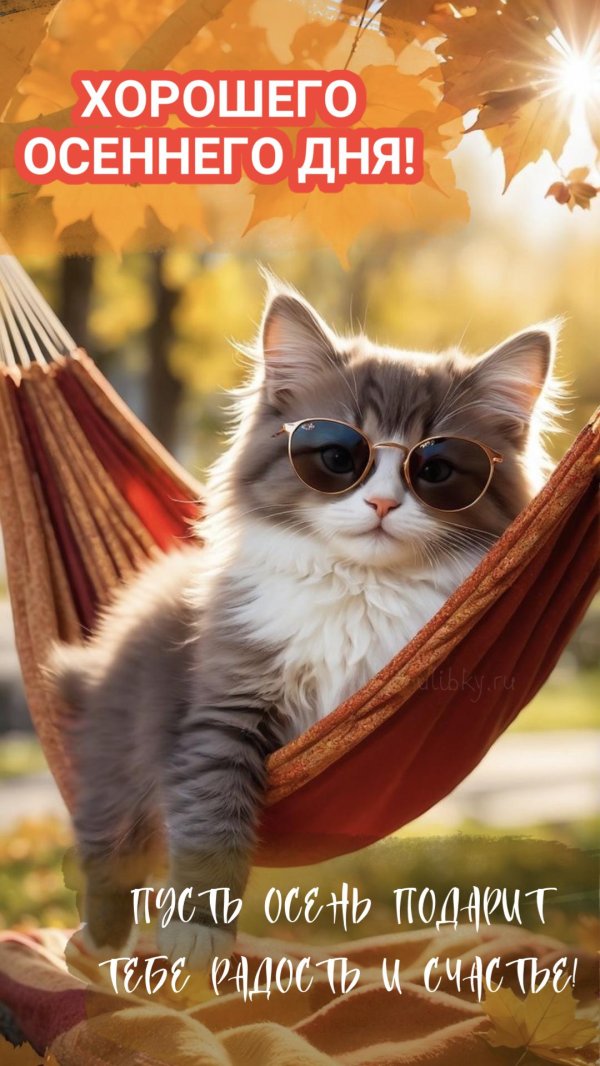 доброго утра воскресенья осень