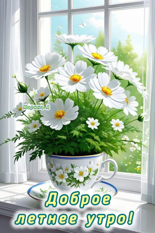 доброе летнее утро воскресенья