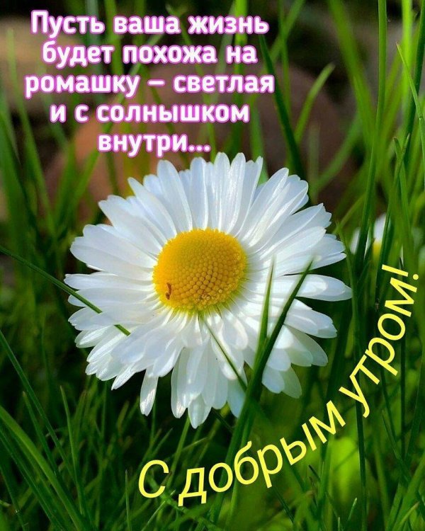 Доброго утречка и прекрасного денечка