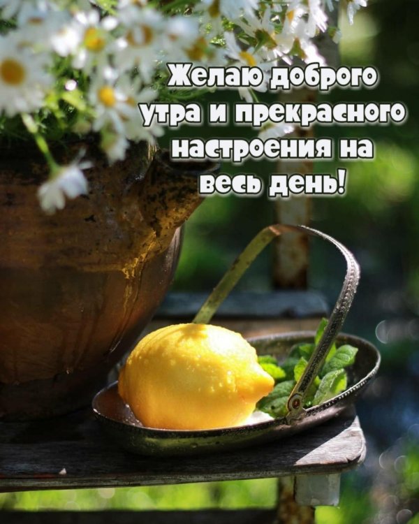 хорошего дня и прекрасного настроения