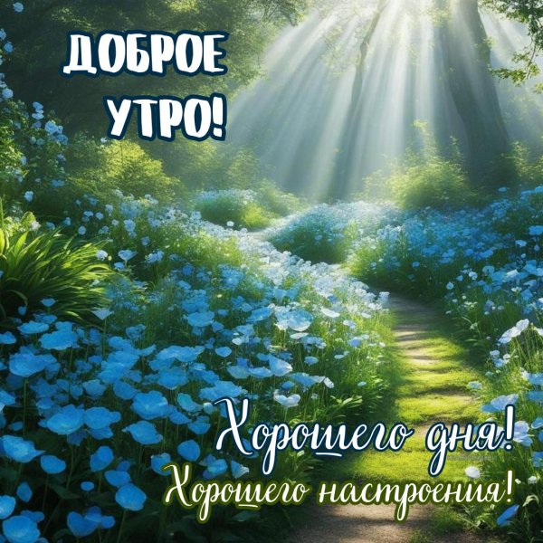 голубое утро