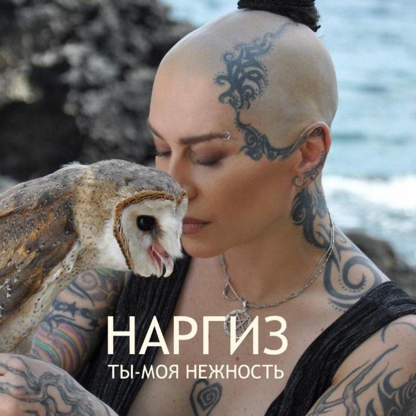 Ты моя нежность мужчине