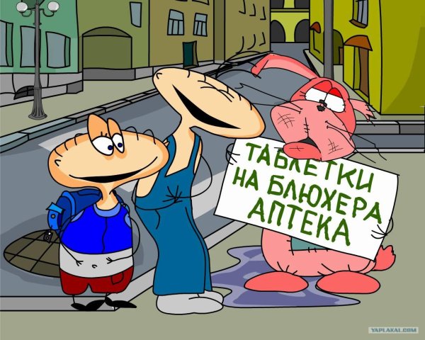 масяня таблетки на блюхера