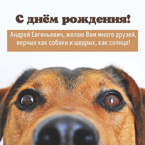 Андрей с юбилеем мужчине