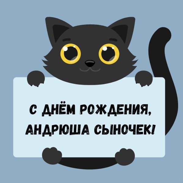 день рождения андрей поздравления