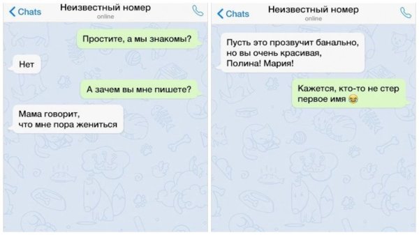 смешная переписка
