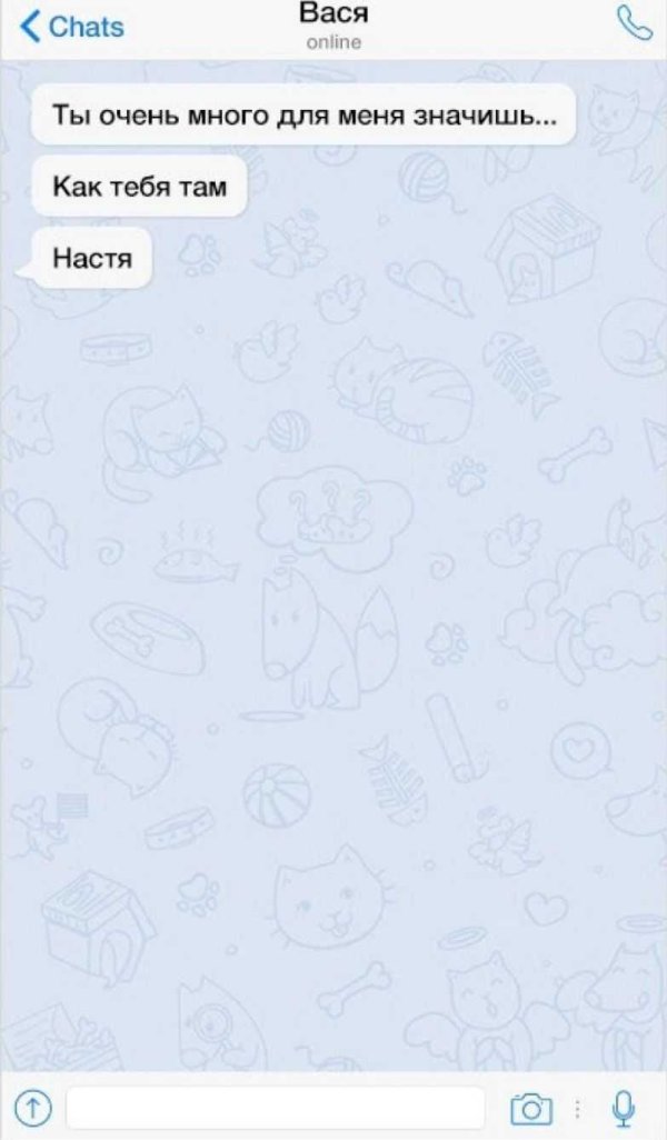 смешная переписка