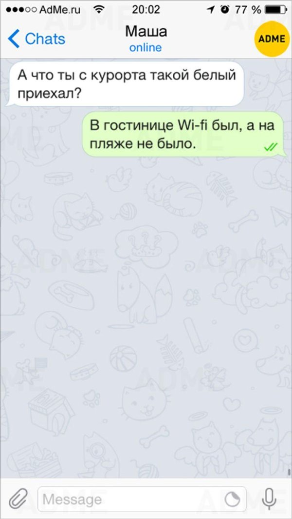 чат с алисой