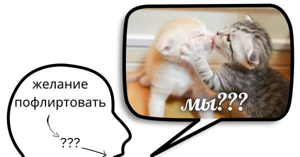 кошка целует кота