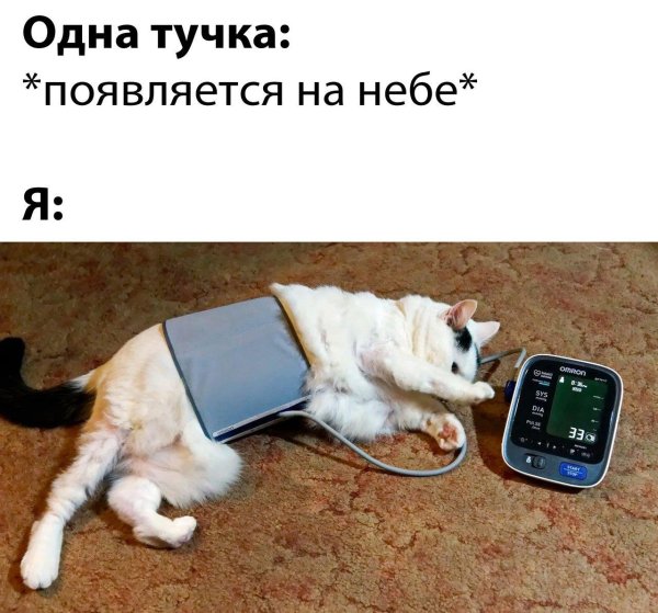 тонометр прикол