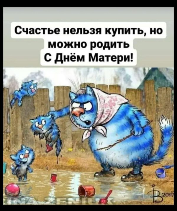 синие коты