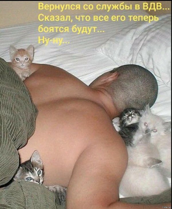 смешно спящий мужчина