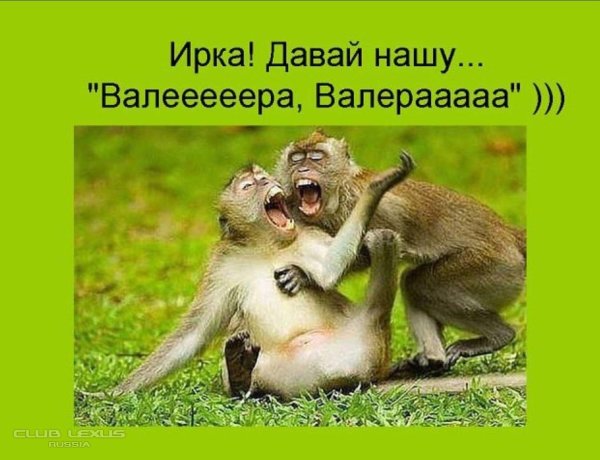 обезьяна смешна