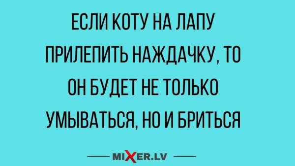 веселые высказывания