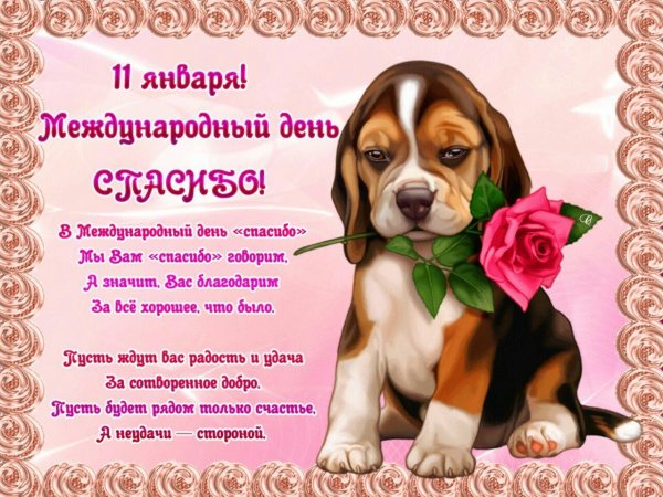 международный день спасибо 11 января