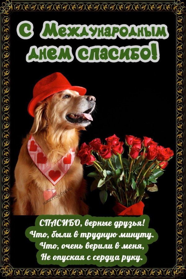 день благодарности собаке 26 августа