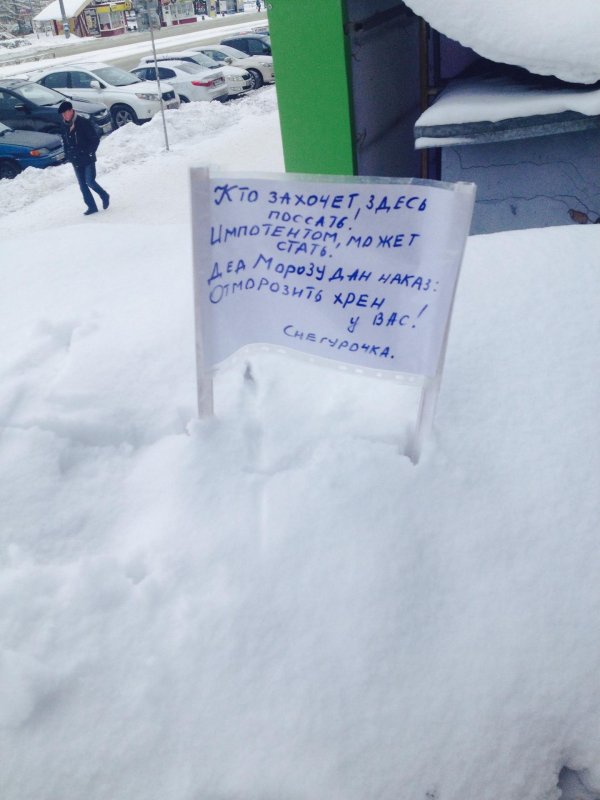 объявления смешные