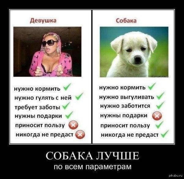 Женщина с собакой