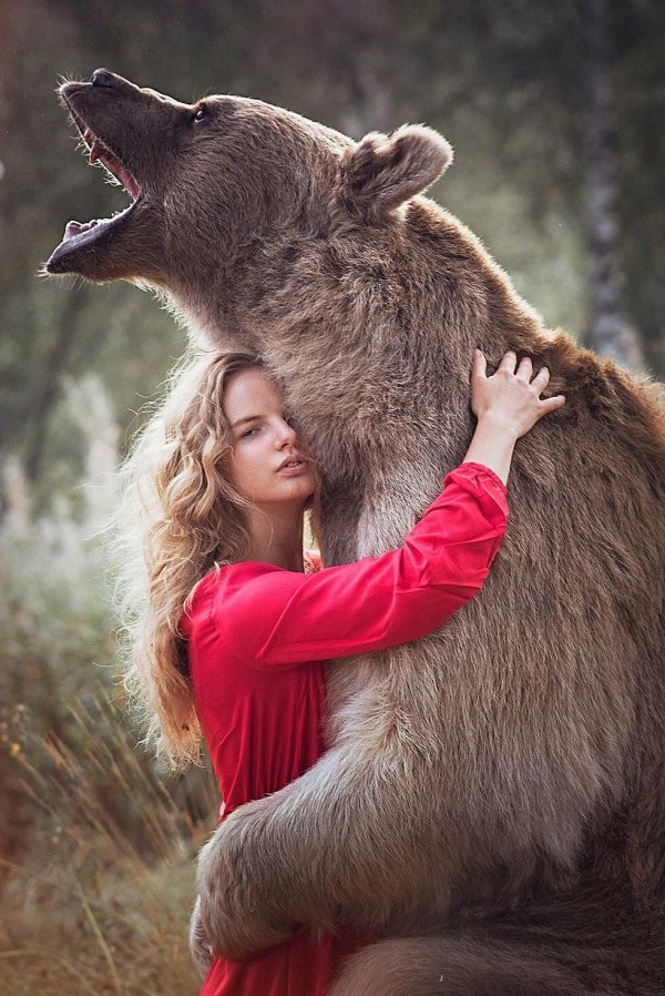 медведь и девушка