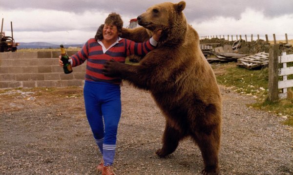 известные медведи