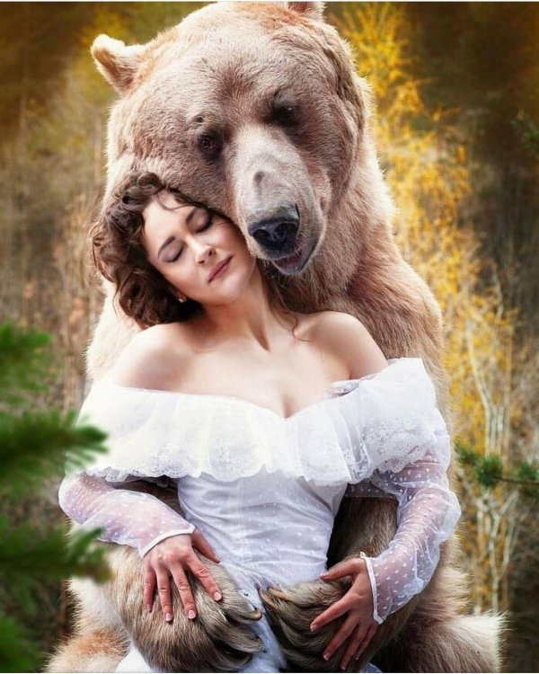 медведь и женщина