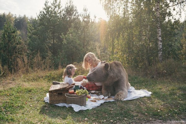 встреча с медведем в лесу
