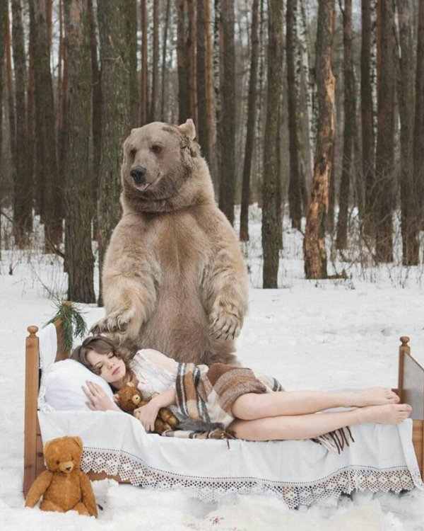 девушка с медведем