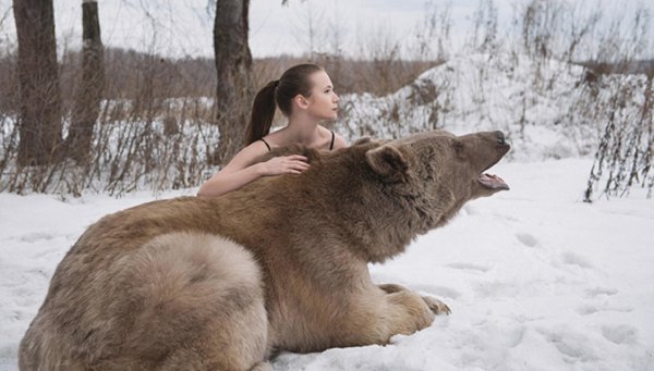 медведь степан