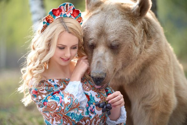 медведь степан