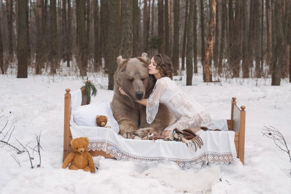 медведь степан фотосессия